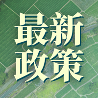 2026年湖北企业ISO认证避坑指南：审核员揭秘90%企业被开具不符合项的致命细节（附整改清单）